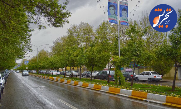  تمام درختان شیراز دارای شناسنامه دیجیتال می‌شوند