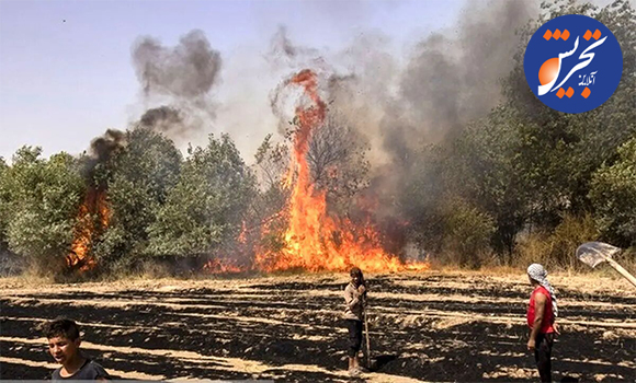 جنگل‌های کرخه در آتش سوخت!