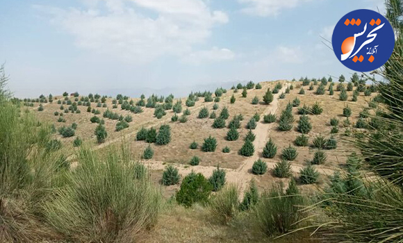 از بوستان‌های روستایی تهران چه خبر؟