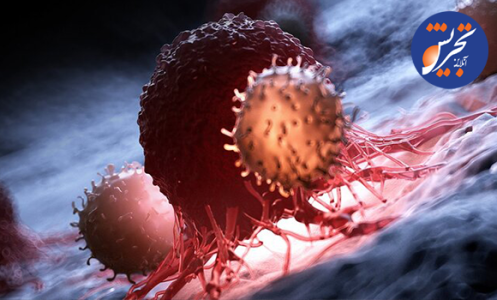 ارتباط سرطان‌های گوارشی با نوع تغذیه / سرطان مانعی برای بارداری نیست