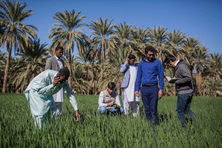 قصه پُرغصه کارآفرینی در «قهرمانان معمولی»