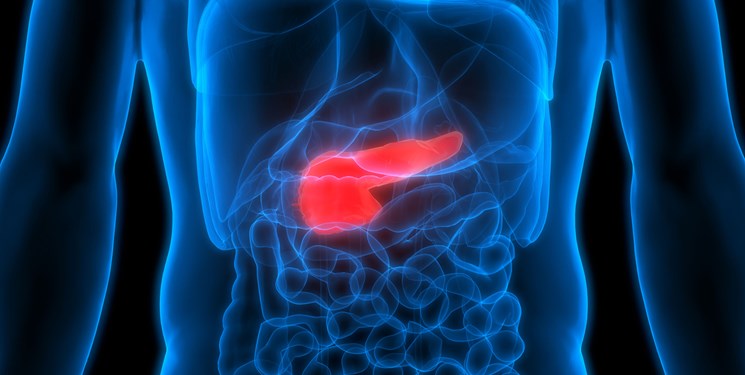 توضیح سازمان غذا و دارو درباره قیمت انواع انسولین