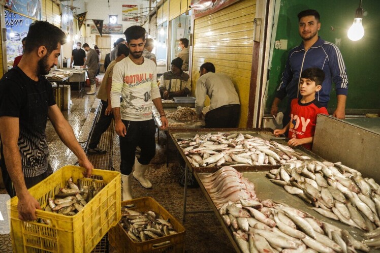 پنج نمایشگاه نوروزی عرضه محصولات شیلاتی در تهران برپا شد