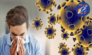 خوراکی هایی که به بهبود آنفلوآنزا کمک می کنند